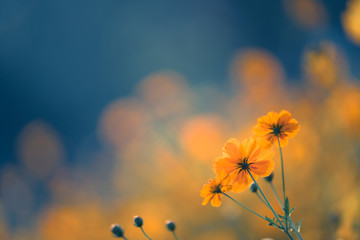 西咸新区管委会地址