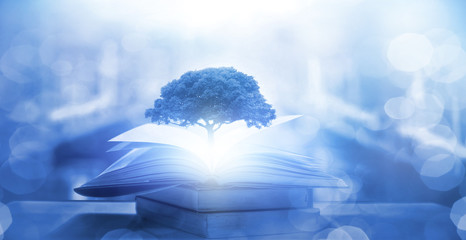 西咸新区管委会地址