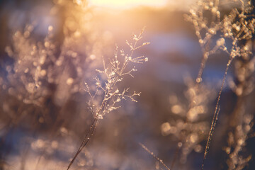 西咸新区管委会地址