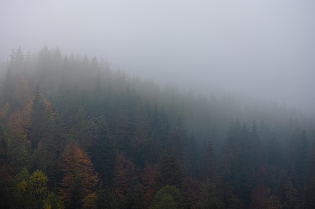 西咸新区管委会地址