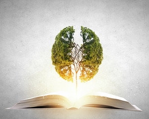 西咸新区管委会地址